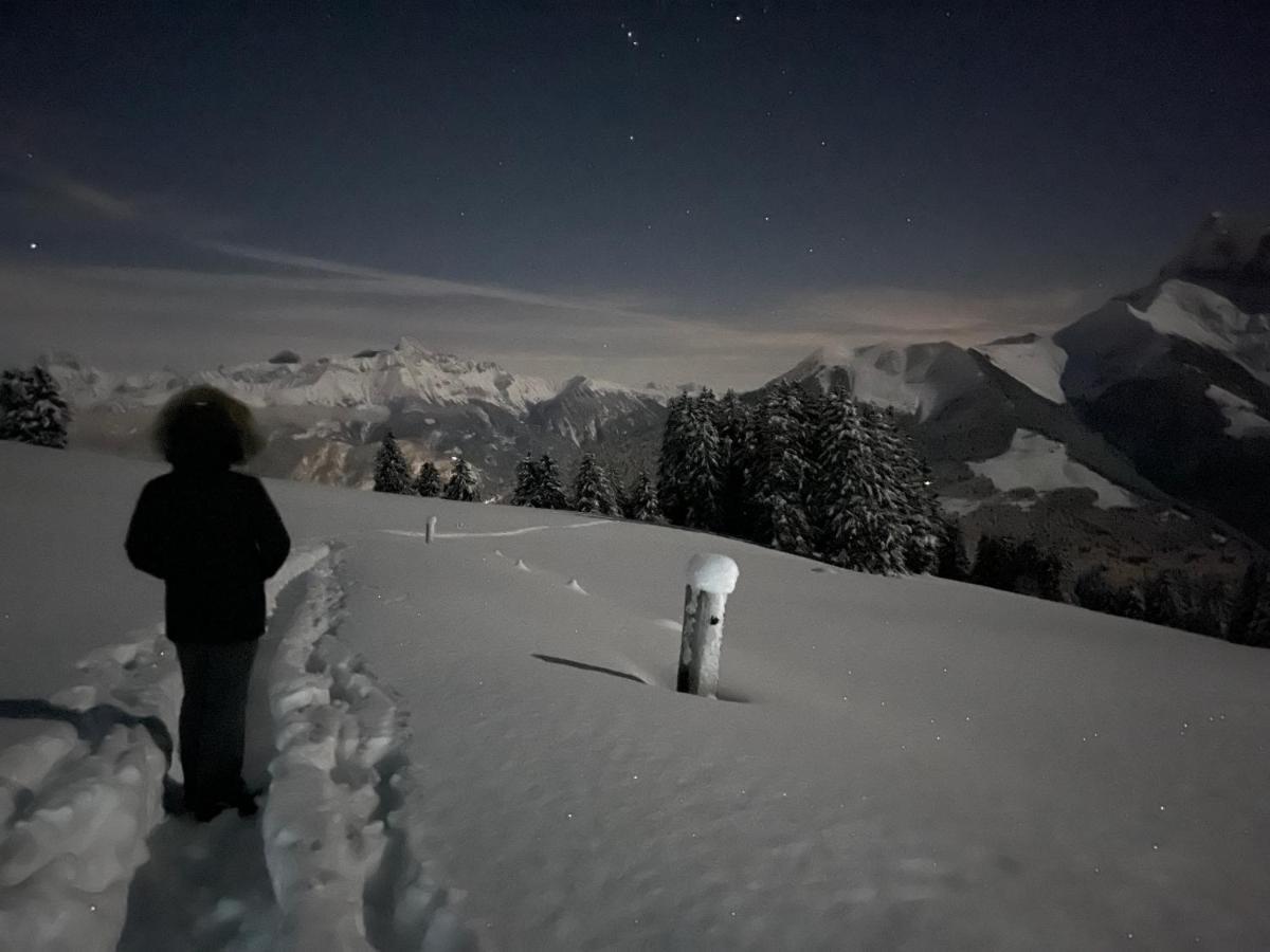 Chalet Chanso Morgins Esterno foto